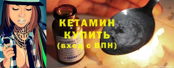 трава Няндома
