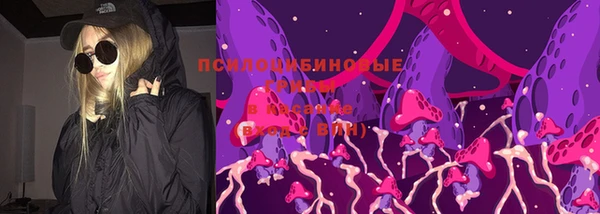 apvp Нягань