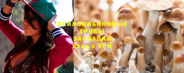 apvp Нягань