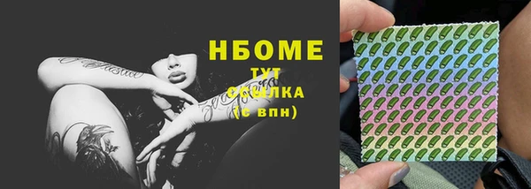трава Няндома