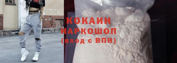 трава Няндома