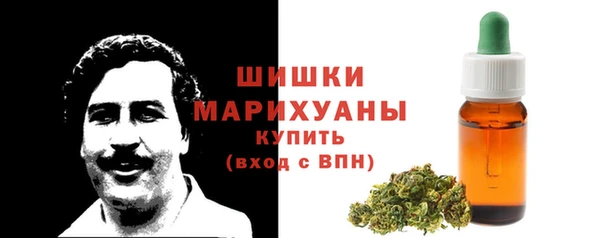 трава Няндома