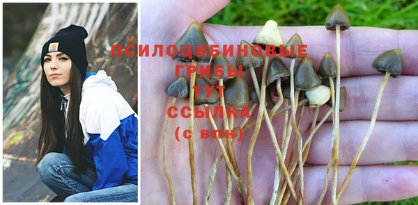 трава Няндома