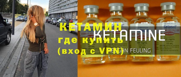 трава Няндома