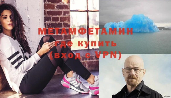 трава Няндома