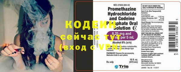 трава Няндома