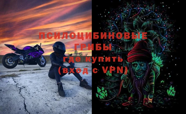трава Няндома