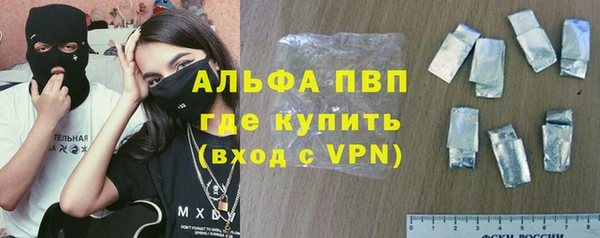 трава Няндома